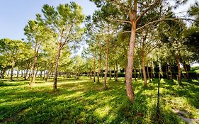 Agriturismo Bio San Mamiliano